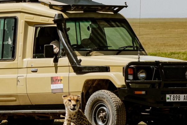 6 Day Luxury Safari