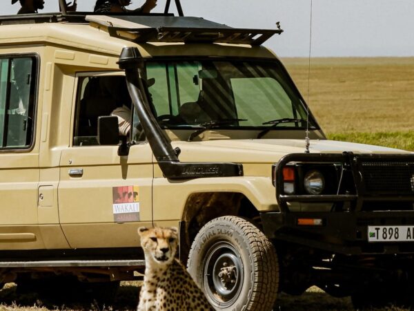 6 Day Luxury Safari