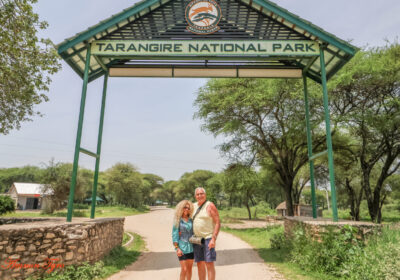 How Many Days Do You Need for a Tanzania Safari? – Complete 2026 Planning Guide