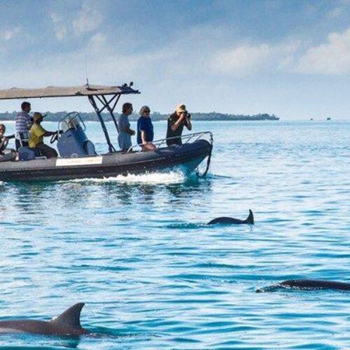 7- DAY TANZANIA SAFARI & ZANZIBAR BEACH HOLIDAY