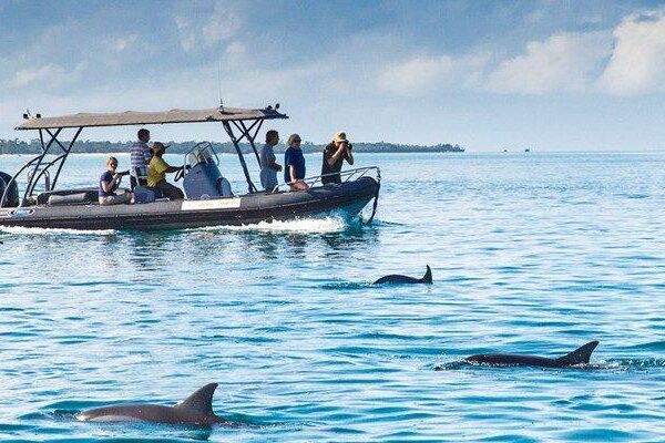 7- DAY TANZANIA SAFARI & ZANZIBAR BEACH HOLIDAY