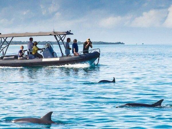 7- DAY TANZANIA SAFARI & ZANZIBAR BEACH HOLIDAY