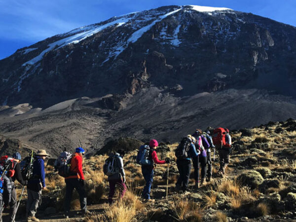5-Day Kilimanjaro Trek – Marangu Route