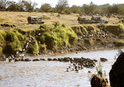 Serengeti vs Ngorongoro: Which Safari is Right for You? – Complete 2026 Guide