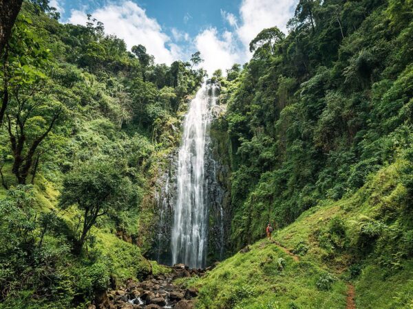 Materuni Village & Coffee Cultural Tour