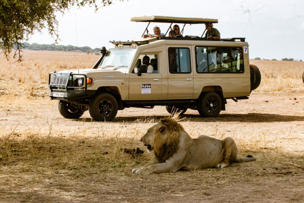 Ultimate Guide to a Tanzania Safari (2026 Edition) – Your Complete Tanzania Safari Adventure