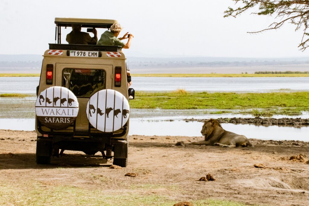 Best National Parks in Northern Tanzania Explained – Your Essential Guide to Parks in Northern Tanzania