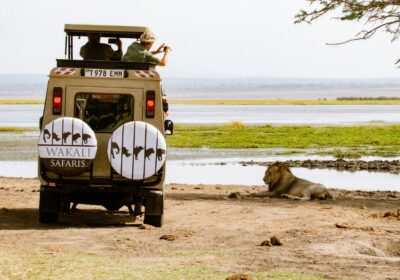 Best National Parks in Northern Tanzania Explained – Your Essential Guide to Parks in Northern Tanzania