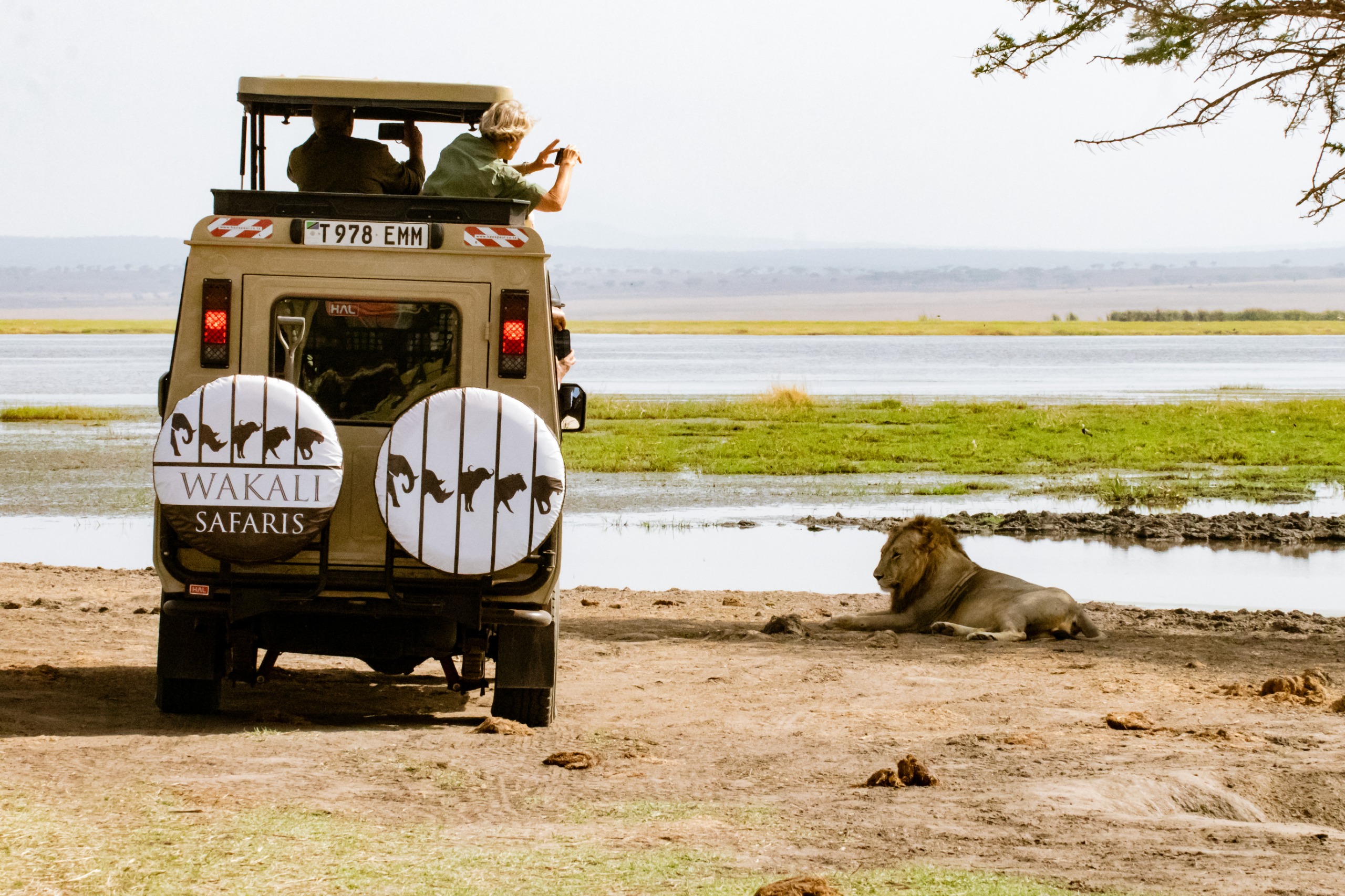 Best National Parks in Northern Tanzania Explained – Your Essential Guide to Parks in Northern Tanzania